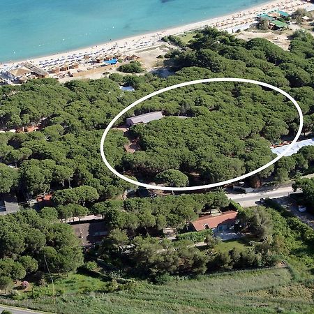 Hotel Villa Nettuno Марина-ди-Кампо Экстерьер фото